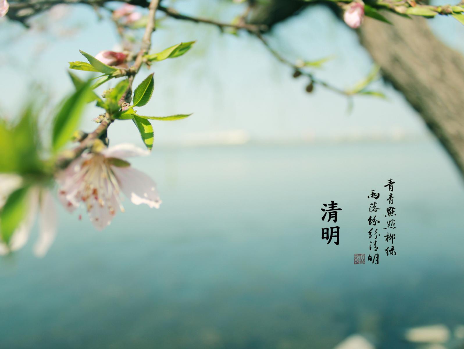 清明節(jié)小長假，邁世告訴您怎么過