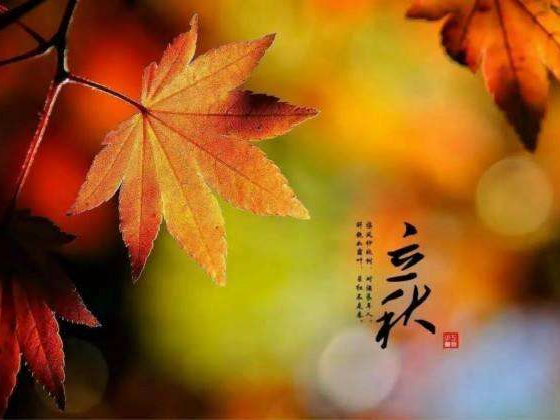 秋來了，莫慌！智慧主機(jī)依舊值得推薦的